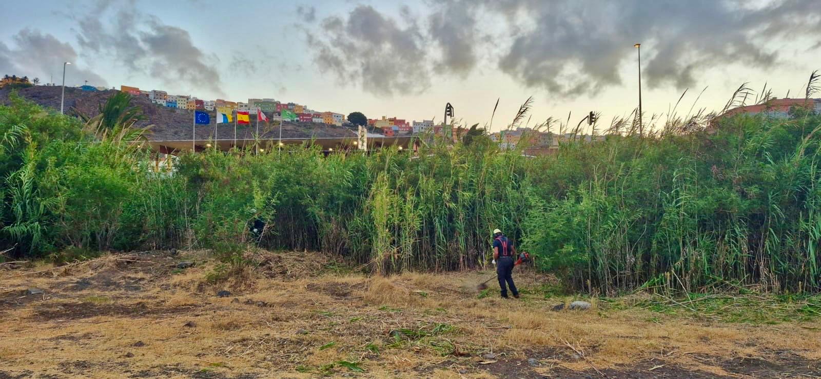 La Gomera avanza en la adecuación de cauces y limpieza de infraestructuras hidráulicas