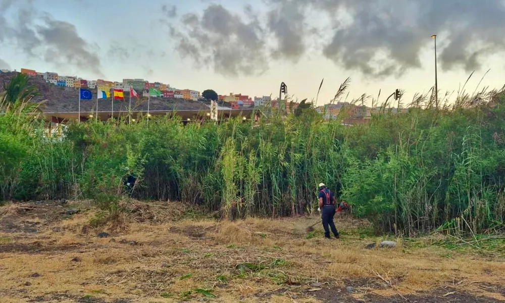 La Gomera avanza en la adecuación de cauces y limpieza de infraestructuras hidráulicas